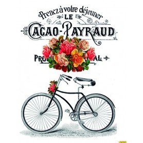 Transfers Cadence HOME DECOR Cacao Payraud