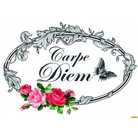 Transfers Cadence HOME DECOR Carpe Diem