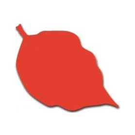 Pintura textil al agua Acrilex rojo fuego 37 ml Ref. 507