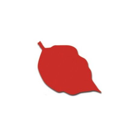 Pintura textil al agua Acrilex rojo tomate 37 ml Ref. 583