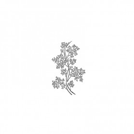 Plantilla Stencil Cadence Vegetal Ramas Ref.BN175 25x36cm