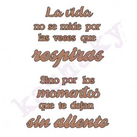 FRASE «LA vida no se mide…»