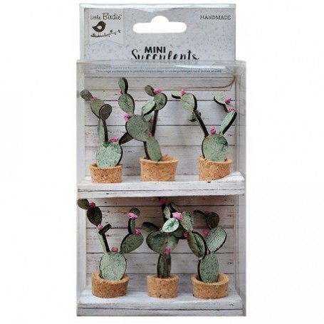 Cactus Mini Suculent de Little Birdie, Bunny Ear