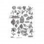 Foil Transparente AB STUDIO 001