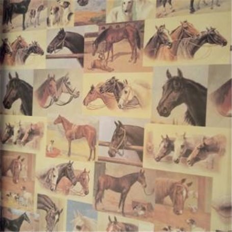 Papel Kartos Caballos 50x69cm