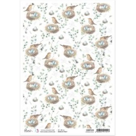 Papel de Arroz A4 Sparrow Nest 21x29,7 cm