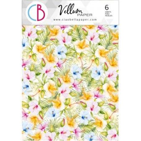 Papel Vellum Summer Breeze Paper Patterns A4 6 Hojas