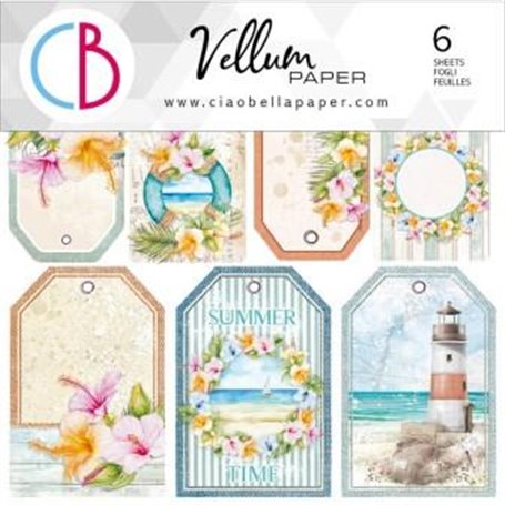 Papel Vellum Breeze Fussy Cut 6"X6" 6 Hojas