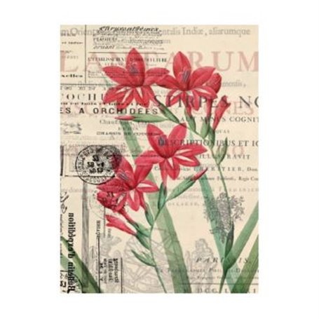 Papel de Arroz Cadence Flores Rojas 30x41 cm.