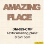 TEXTO AMAZING PLACE 8´5x1´5CM