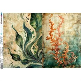 PAPEL DE ARROZ JAPONES SPA5663 A3 30x41cm