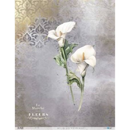 Papel De Arroz La Petite Vie En Fleurs Calla Lily I 54x70cm