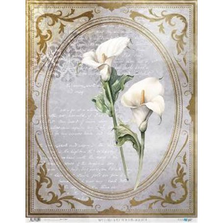 Papel De Arroz La Petite Vie En Fleurs Calla Lily II 54x70cm