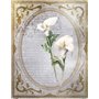 Papel De Arroz La Petite Vie En Fleurs Calla Lily II 54x70cm