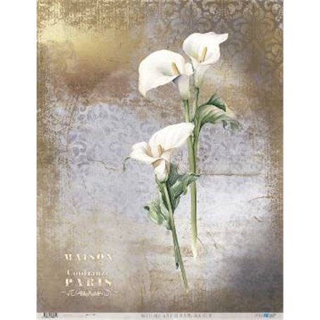 Papel De Arroz La Petite Vie En Fleurs Calla Lily III 54x70cm