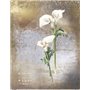 Papel De Arroz La Petite Vie En Fleurs Calla Lily III 54x70cm