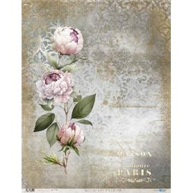 Papel De Arroz La Petite Vie En Fleurs Peonies III 54x70cm