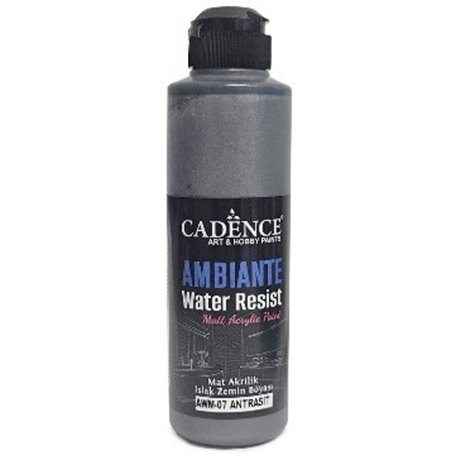 Pintura Ambiente Water Resist Metal Anthracite 250ml + Catalizador