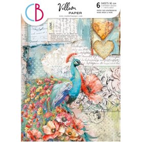 Papel Vellum Vitela Majestic Dream A4 6 Hojas