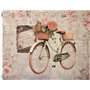 Papel De Arroz Vintage bike III 54x70cm