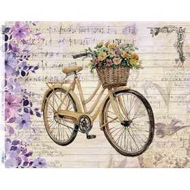 Papel De Arroz Vintage bike VI 54x70cm