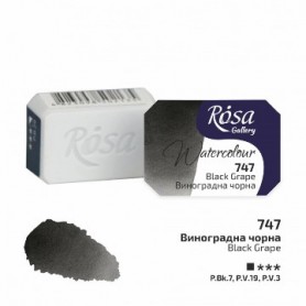 Acuarela ROSA GALLERY Black Grape 747 2,5ml