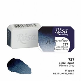 Acuarela ROSA GALLERY Payne's Grey 737 2,5ml