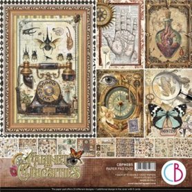 Colección Ciao Bella Cabinet of curiosities Pad 12"x12"