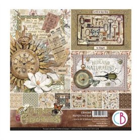 Colección Ciao Bella "Cabinet of curiosities"  Pad 8x8"