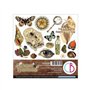 Colección Ciao Bella Cabinet of curiosities Cut Pad 6"x6"