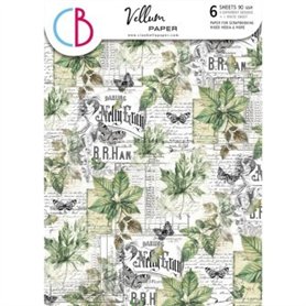 Papel Vellum Cabinet of Curiosities A4 6 Hojas