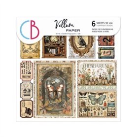 Papel Vellum Cabinet of curiosities Fussy Cut 6"X6