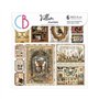 Papel Vellum Cabinet of curiosities Fussy Cut 6"X6