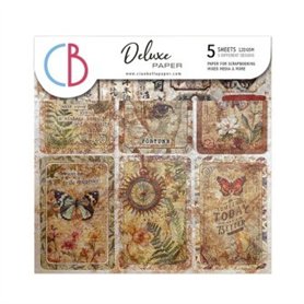 Deluxe Cabinet of curiosities Paper Pearl y Copper A4 5/Pkg