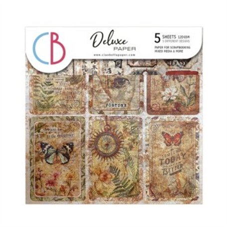 Deluxe Cabinet of curiosities Paper Pearl y Copper A4 5/Pkg