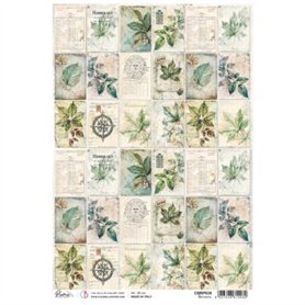 Papel de Arroz Botanical A4 