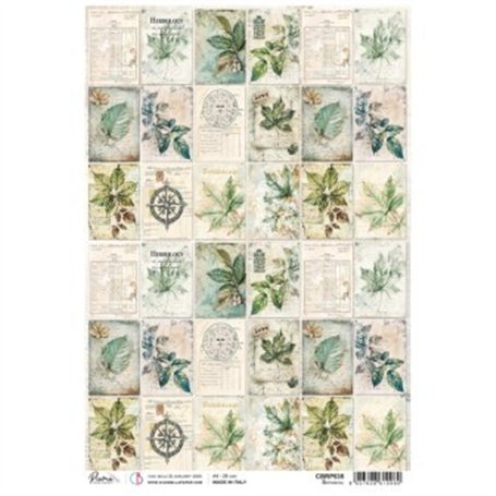 Papel de Arroz Botanical A4 