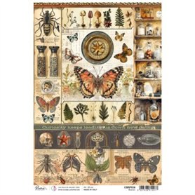 Papel de Arroz Science A4 