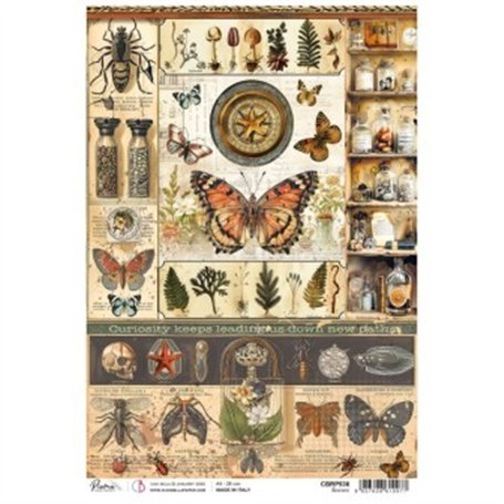 Papel de Arroz Science A4 