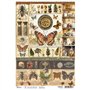 Papel de Arroz Science A4 