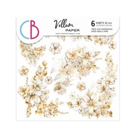 Papel Vellum Blessing Day Fussy Cut 6"X6