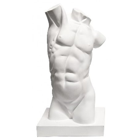 Torso Resina masculino 43,5cm