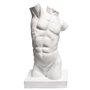 Torso Resina masculino 43,5cm