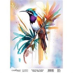 Papel Arroz CADENCE BIRDSONG COLLECTION 03 30x42cm