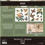 Decorative Transfers Bugs 30x30cm. 2 Hojas.