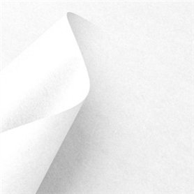 Cardstock  Paper Sheet White 10Pkg 30x30