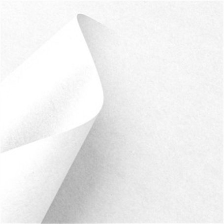 Cardstock  Paper Sheet White 10Pkg 30x30