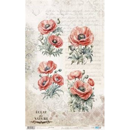 Papel De Arroz " La Vie En Fleurs Poppy VI"  54x33cm