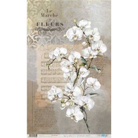 Papel De Arroz " La Vie En Fleurs White Orchid I"  54x33cm