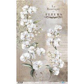 Papel De Arroz " La Vie En Fleurs White Orchid II"  54x33cm